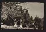 CPIB 19531 CARTE POSTALA - MUNTII BUCEGI. CABANA &quot;POIANA STANII&quot;, Necirculata, Fotografie