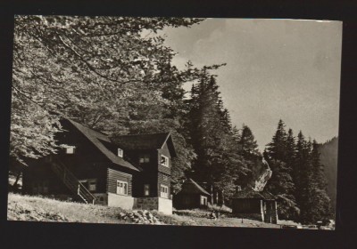 CPIB 19531 CARTE POSTALA - MUNTII BUCEGI. CABANA &amp;quot;POIANA STANII&amp;quot; foto