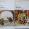 PIETER BRUEGEL NAZDRAVANUL VOL.1-2-GERHARD W. MENZEL-295969