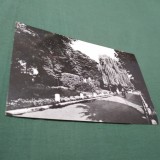 Cumpara ieftin CARTE POSTALA CIRCULATA RADAUTI VEDERE DIN PARC