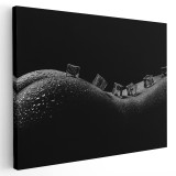 Tablou nud femeie solduri fese cuburi de gheata alb negru 1145 Tablou canvas pe panza CU RAMA 70x100 cm