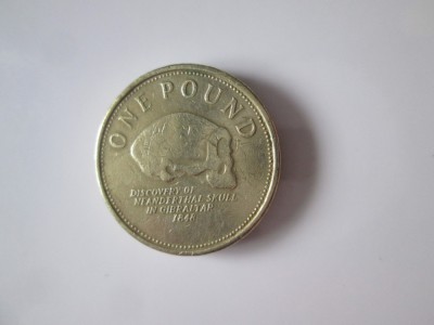 Gibraltar 1 Pound 2009 foto