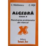 ALGEBRA CLASA X. REZOLVAREA PROBLEMELOR DIN MANUAL-C. NASTASESCU, C. NITA-337661