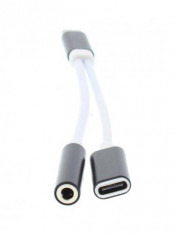 Cablu adaptor USB type C tata - Jack 3.5 mm STEREO mama si USB Type C mama 13cm Well foto