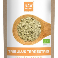 Tribulus Terrestris Bio, 125g, Rawboost