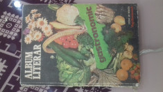 album literar gastronomic carte de bucate 1983 foto