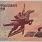 BANCNOTA COMUNISTA 200 WON - COREEA de NORD, anul 2008 *cod 933 = UNC