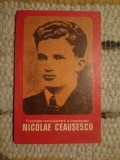 Olimpiu Matichescu (doctor &icirc;n istorie): Tinereţea revoluţionară a tovarăşului Nicolae Ceauşescu