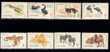 A11 TX5 2 - 1964 - Gradina zoologica din Bucuresti