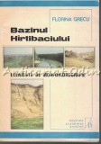 Bazinul Hirtibaciului - Florina Grecu