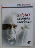 SFASIAT DE UMBRA UNUI INGER - poezii de EMIL BRUMARU , 2013