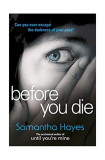 Before You Die - Paperback brosat - Samantha Hayes - Arrow Books