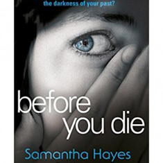 Before You Die - Paperback brosat - Samantha Hayes - Arrow Books