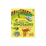 Big Book of Big Dinosaurs