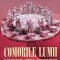 Comorile lumii. Ingropate, zidite, scufundate - 2007 - Robert Charroux (AQ135)