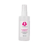 Soluție de curățare cu spray - degresant, 100 ml