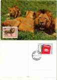 BULGARIA 1991, CM, Fauna, Feline, Maxime, Europa