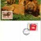 BULGARIA 1991, CM, Fauna, Feline, Maxime