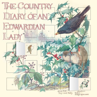 The Country Diary of an Edwardian Lady Advent Calendar foto