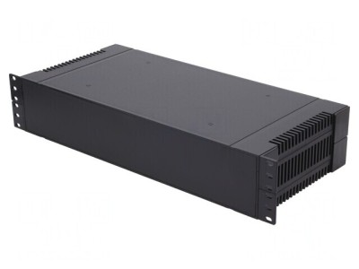 Carcasă standard 19 2U neagră ABS 203x431mm foto