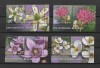 ROMANIA 2021 - FLORA DIN REZERVATIILE NATIONALE, VINIETA, MNH - LP 2318, Nestampilat