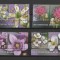 ROMANIA 2021 - FLORA DIN REZERVATIILE NATIONALE, VINIETA, MNH - LP 2318