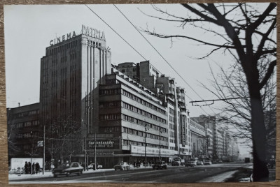 Cinema PATRIA// fotografie de presa foto