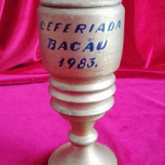 Cupa Trofeu Sportiv Ceferiada Bacau 1983 Epoca de aur România