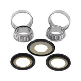 KIT RULMENTI DE JUG FURCA ALL BALLS RACING AB22-1001