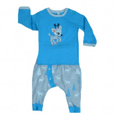 Pijama pentru baieti Koala 05-299, Multicolor foto