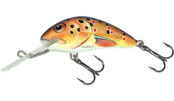 Salmo Wobler Hornet Sinking 5cm Trout
