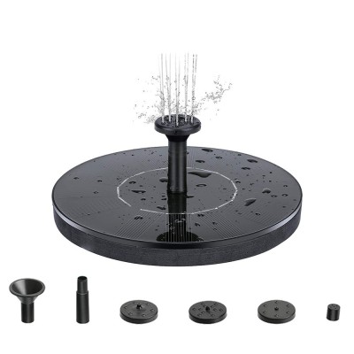 F&amp;acirc;nt&amp;acirc;nă solară 13 cm foto