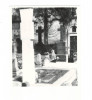 Fotografie ”Crucea și mormântul G. Bacovia - cimitirul Bellu” (1965, 8,5x5,5cm.)