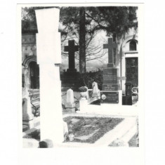 Fotografie ”Crucea și mormântul G. Bacovia - cimitirul Bellu” (1965, 8,5x5,5cm.)