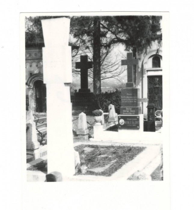 Fotografie &rdquo;Crucea și morm&acirc;ntul G. Bacovia - cimitirul Bellu&rdquo; (1965, 8,5x5,5cm.)