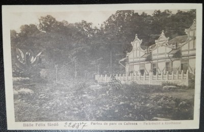 Carte postala, Baile Felix, partea de parc cu cafenea, perioada interbelica foto
