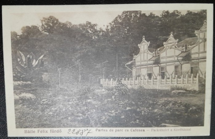 Carte postala, Baile Felix, partea de parc cu cafenea, perioada interbelica