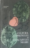 Cultura Capsunului Si Coacazului Negru I. Modoran, A. Botar - 1966