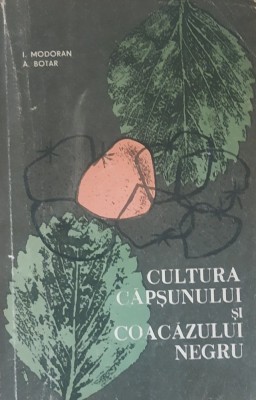 Cultura Capsunului Si Coacazului Negru I. Modoran, A. Botar - 1966 foto