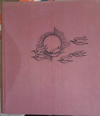 RAZA DE COBALT. POEME-DUMITRU POPESCU-249906