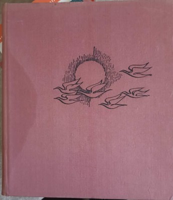 RAZA DE COBALT. POEME-DUMITRU POPESCU-249906 foto
