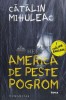 America de peste Pogrom - 2021 - Catalin Mihuleac ($R70)