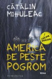 Cumpara ieftin America de peste Pogrom - 2021 - Catalin Mihuleac ($R70)