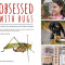 Obsessed with Bugs: A Guide to the Preservation and Curation of Insects