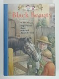 BLACK BEAUTY , repovestire de LISA CHURCH dupa romanul ANNEI SEWELL , ilustratii de LUCKY CORVINO , 2012