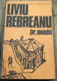 LITR11 0442 Literatura -Liviu Rebreanu 0- Jar , amandoi