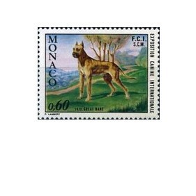 Monaco 1972 - show Dog Monte Carlo, neuzata foto