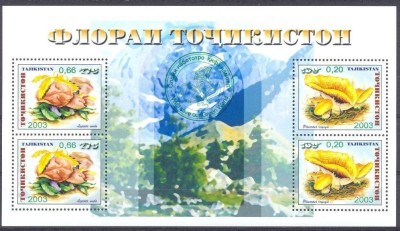 TAJIKISTAN 2004 CIUPERCI SUPRATIPAR VERDE foto