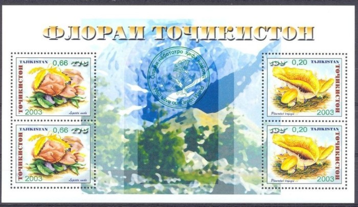 TAJIKISTAN 2004 CIUPERCI SUPRATIPAR VERDE
