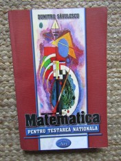 Matematica Testarea Nationala Dumitru Savulescu 2004, Editura Art